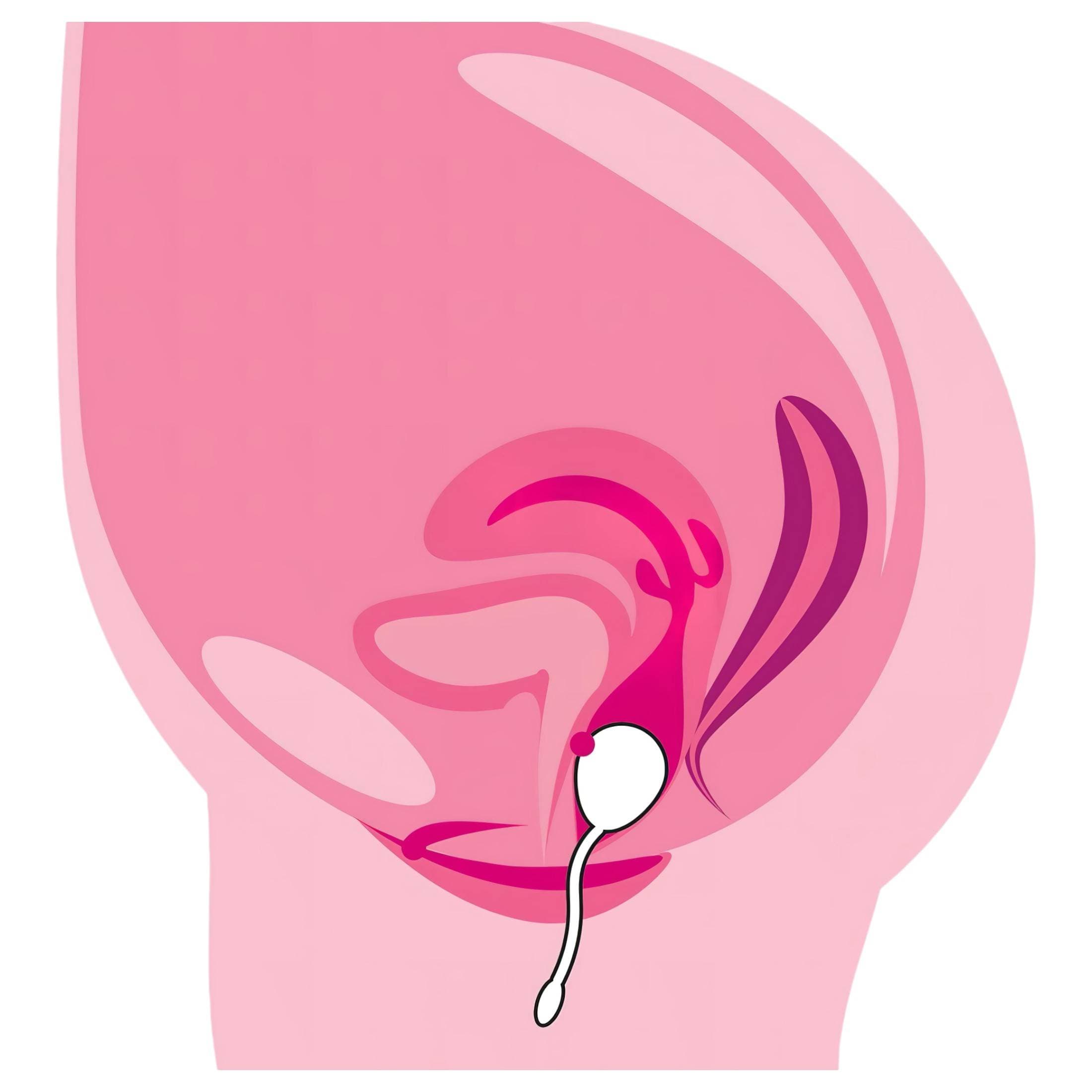 You2Toys RC Love Ball - akkus, rádiós vibrációs tojás #9